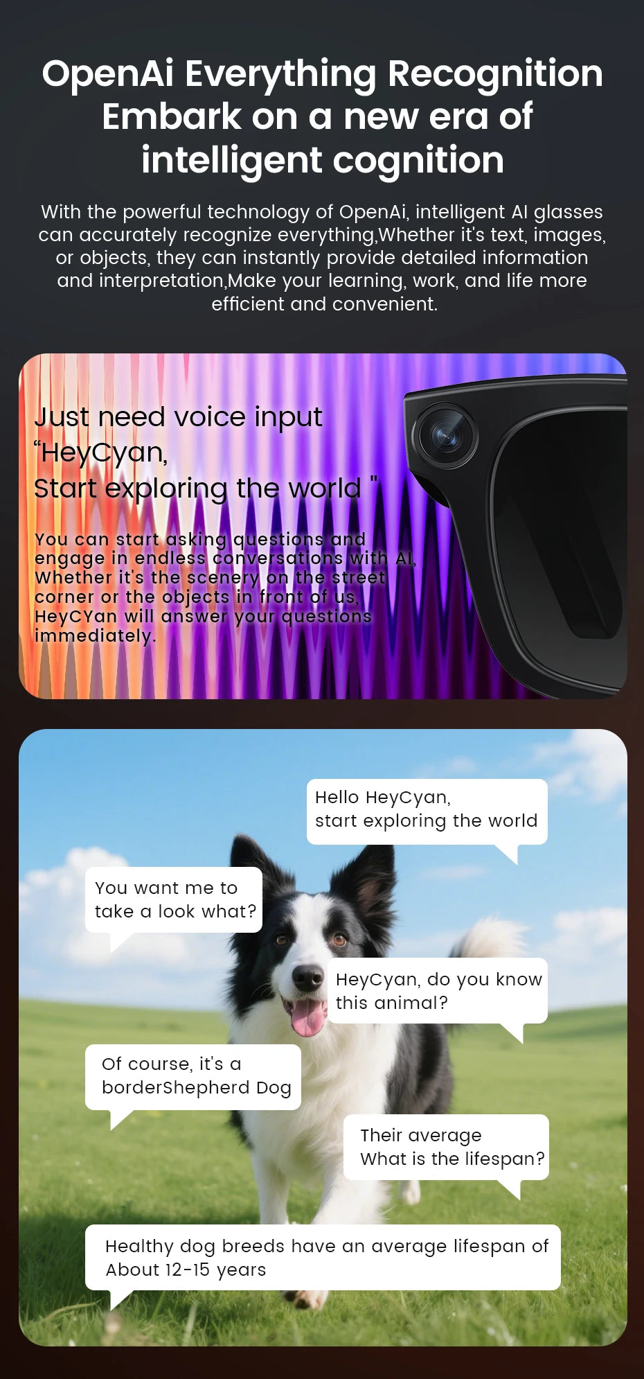 2026 Smart Glasses HD Photo Video OpenAI Record Translation Touch Photochromic Lenses Bluetooth Call Music Multifunction Glasses